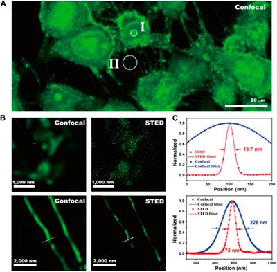 Shedding New Lights Into STED Microscopy: Emerging Nanoprobes for Imaging